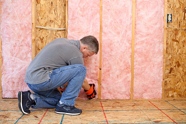 Best Eco-Friendly Insulation in Buckhorn, CA